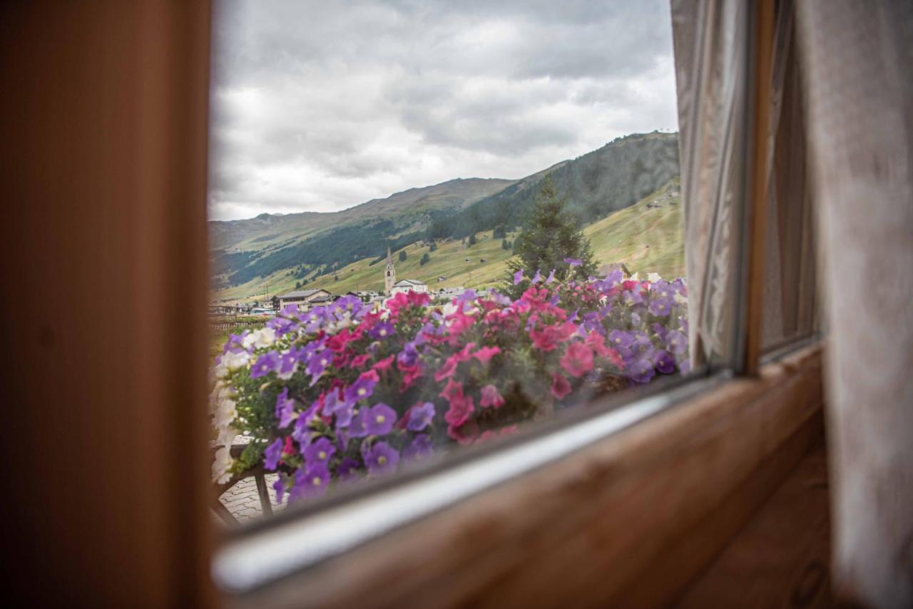 Family House Amalia Myholidaylivigno Exterior photo